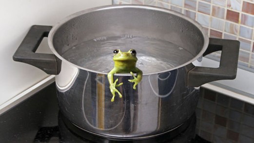 Frog + Water + Heat